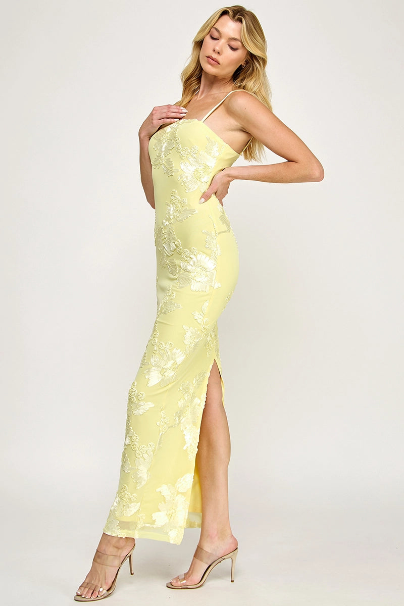 Sleeveless Mesh Floral Embroidered Maxi Dress