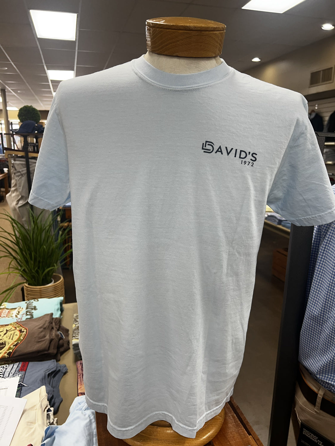 SOUTHERN FRIED COTTON Men's Tees ICE BLUE / S David's Clothing Wayne County SS Tee || David's Clothing ND982IB